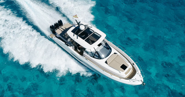 Oryx 38 | Orix
