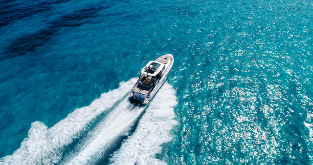 Oryx 38 | Orix