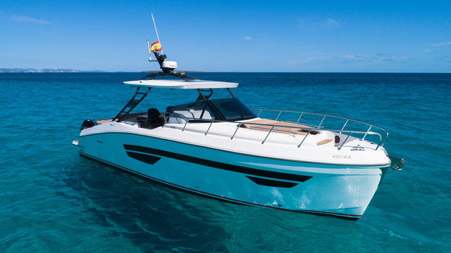 Oryx 38 | Orix