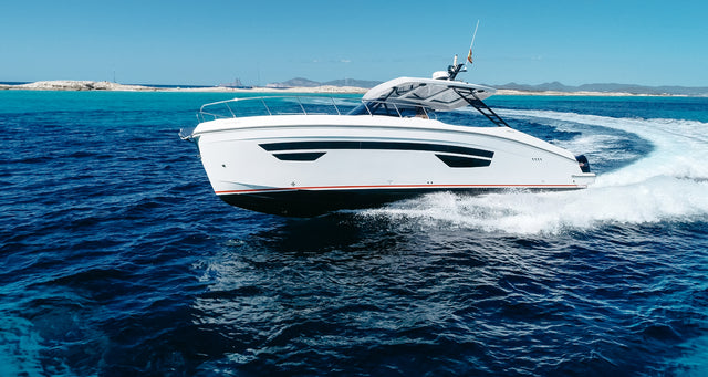 Oryx 38 | Orix