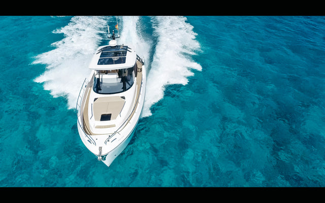 Oryx 38 | Orix