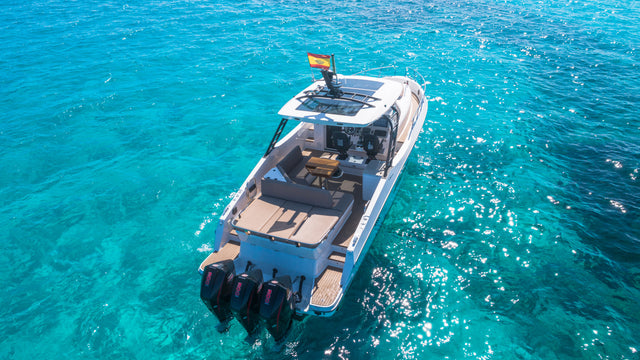 Oryx 38 | Orix