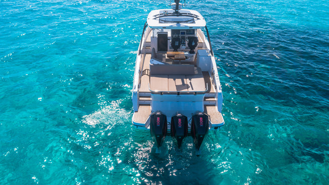 Oryx 38 | Orix